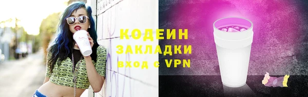 крисы Слюдянка