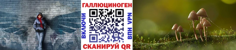 Псилоцибиновые грибы мухоморы  Купить где  Петропавловск-Камчатский 