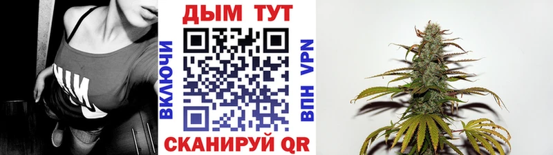 Купить где  Петропавловск-Камчатский  Конопля семена 